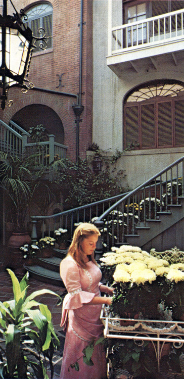 adventurelandia:Court of Angels at Disneyland, 1981