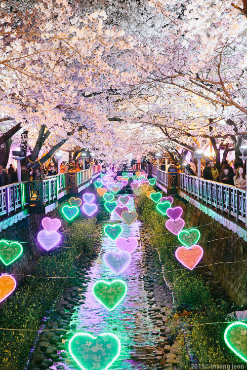 fuckyeahjapanandkorea:
“Cherry Blossom Festival by insung jeon
”
Awesome