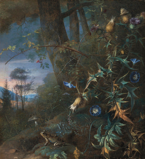 starswaterairdirt:A Forest Floor Still Life, 17th centuryMatthias Withoos