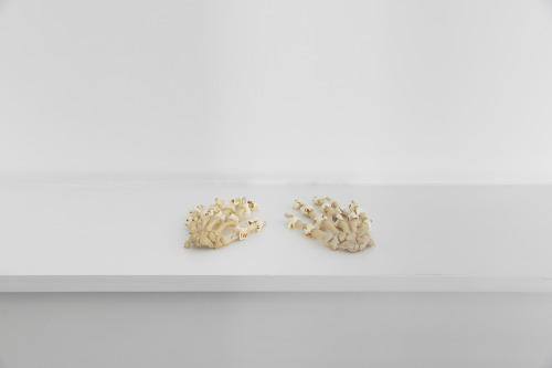 Michael E. SmithUntitled2019hands, popcorn, wire22 × 28 × 3 cm, 8 5/8 × 11 1/8 × 1 1/8 ins