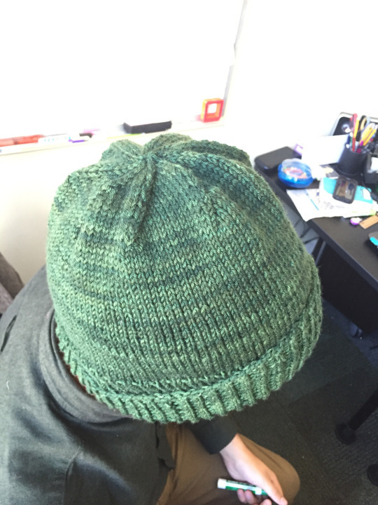 thelemonsoftheuniverseunited:  narwhal-noir:  i finished knitting this hat during