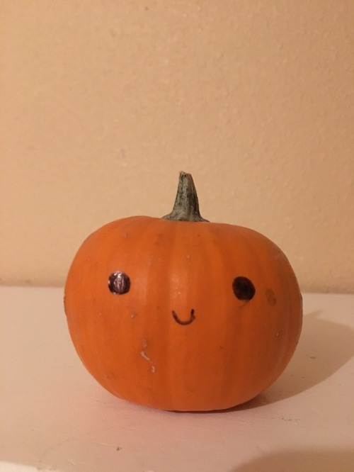 syntactition: kayl-pumpkins: Okay, so just an experiment. I want to see how many notes this pumpkin 