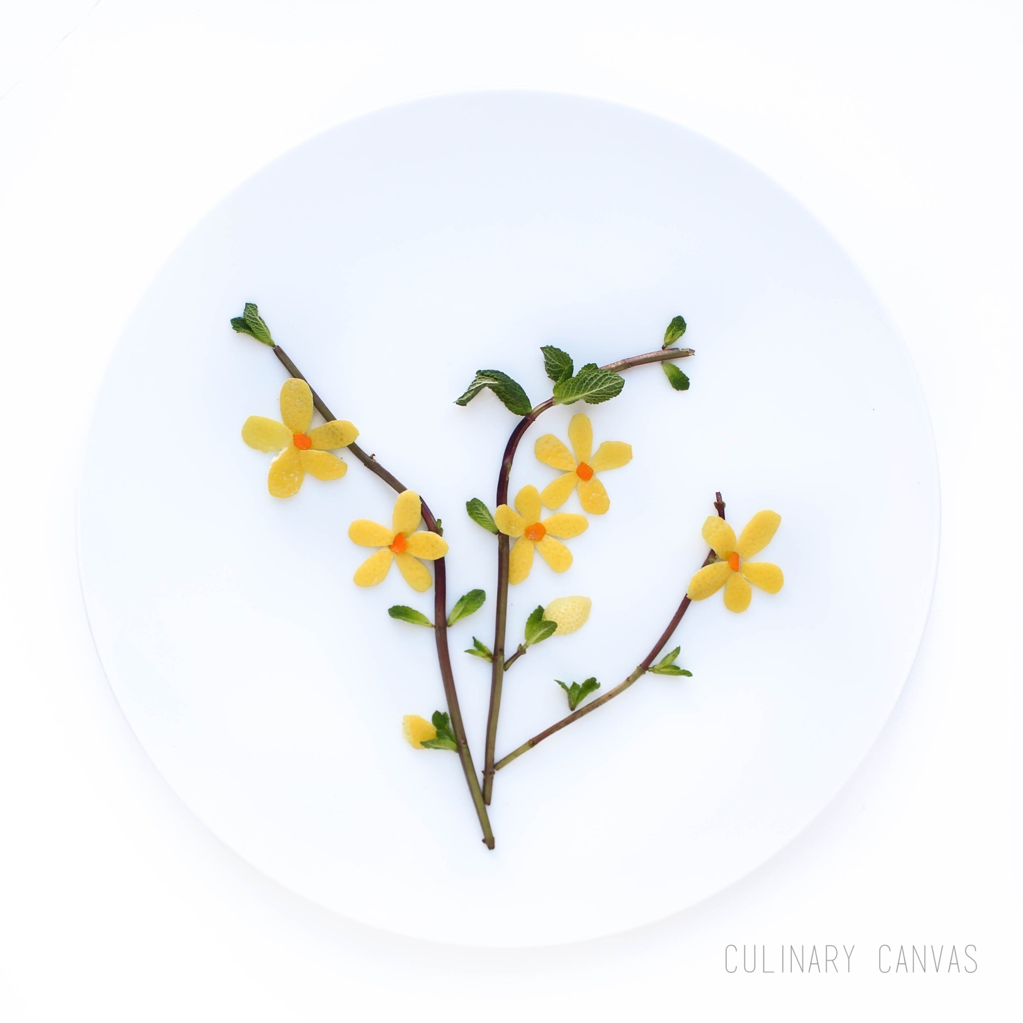 CULINARY CANVAS