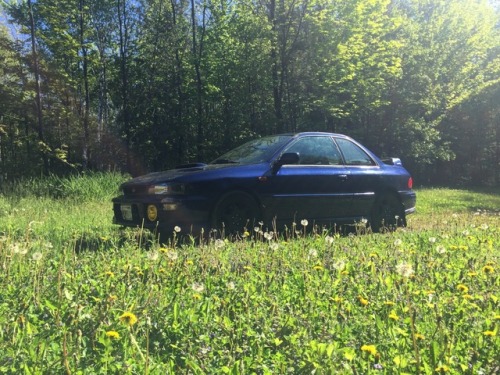 crying-boy:Getting lost in the backwoods of Wisconsin.