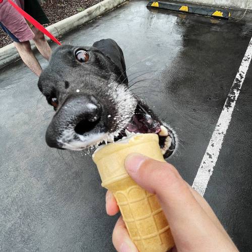 uwupuppersuwu:Mac likes ice cream