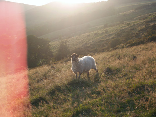 Peak District, september