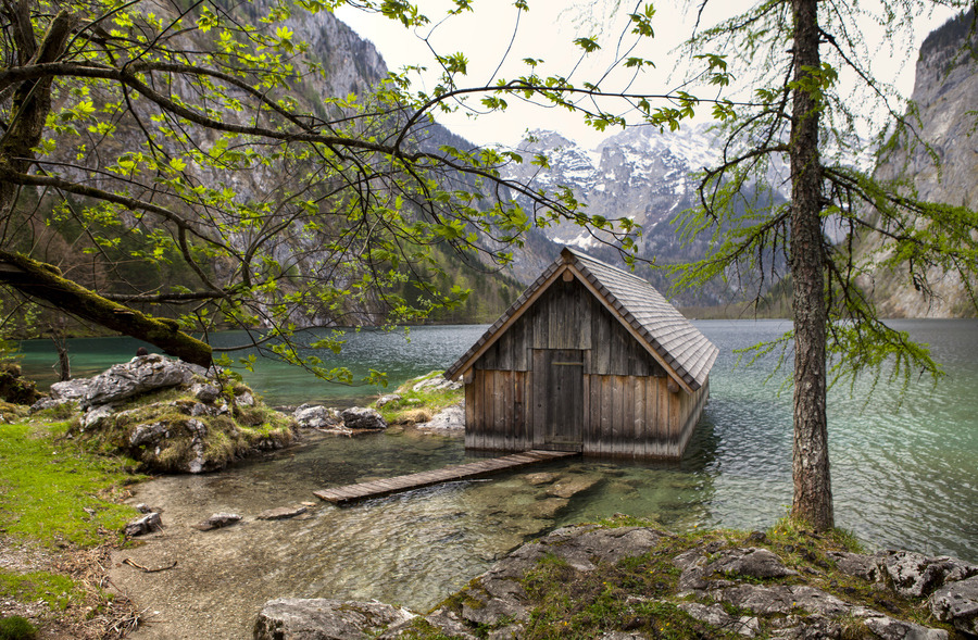 owakolf:  Nature Blog ▲