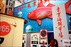 unearthedviews:   Japan.  Honshu.  Tokyo.  Colourful advertising on street.  