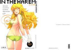 IN THE HAREM A SIDE - Page 1 » nhentai: