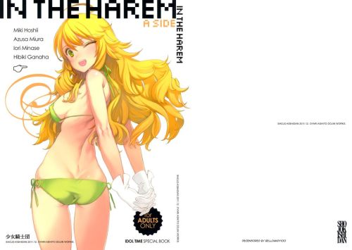 XXX IN THE HAREM A SIDE - Page 1 » nhentai: photo