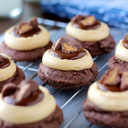 scrumptiousfinds:  Peanut butter brownie bites