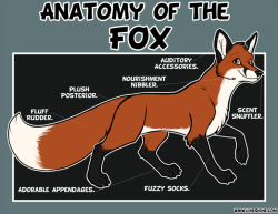 thefoxcave:Art by: likeshine &lt;3