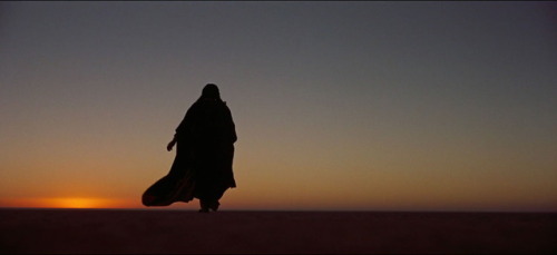 Lawrence of Arabia (1962) - scenes in screencaps [4/??]↳ Gasim Lost in the Desert