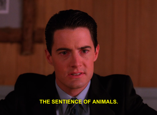 agent dale cooper