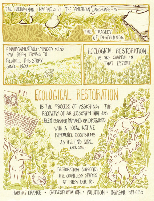 fifthdayprairie: It’s ridiculous that it took me this long to take a Restoration Ecology class