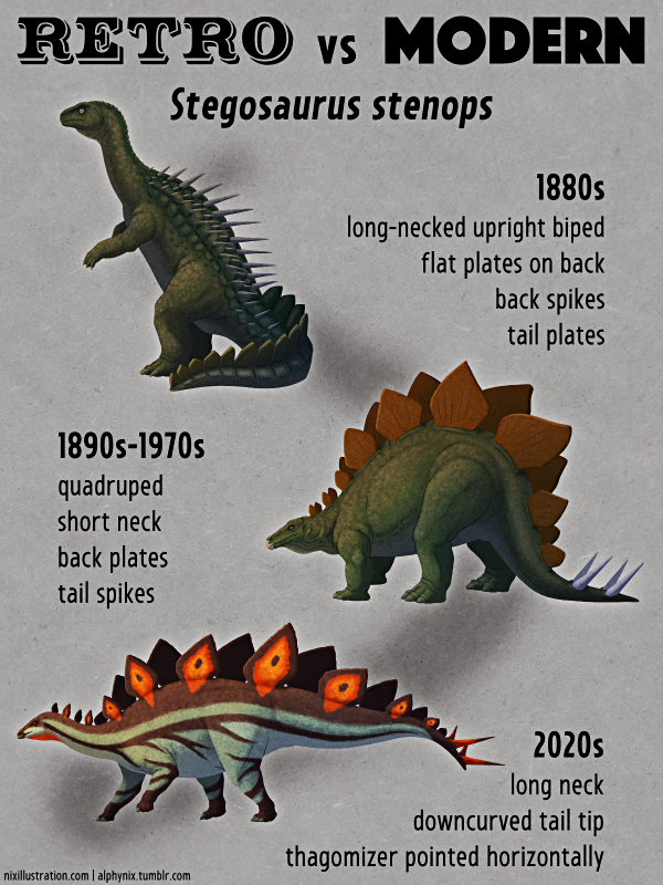 Deinocheirus mirificus, no longer an enigma