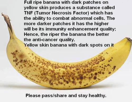 dnabars:  Healthy food choices makes for healthy body. 