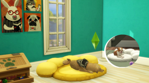 magicalgirlsimmer:  Hi again! I’ve been working on a few pet bed conversions from the sims 2 a