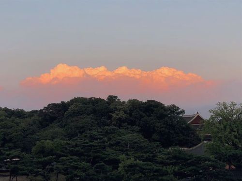 #창덕궁 #구름 #구름이 (Changdeokgung에서) https://www.instagram.com/p/B1q7zGgpaUz/?igshid=zuzkwbzjn00q