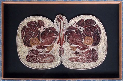 dieselotherapy:   Tissue Series  Anatomical Cross-Sections in PaperThese pieces are made of Japanese mulberry paper and the gilded edges of old books. They are constructed by a technique of rolling and shaping narrow strips of paper called quilling or