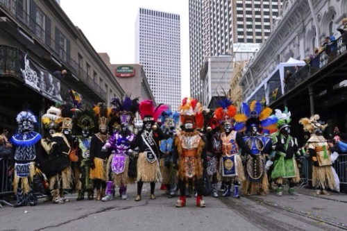 iamdopeboy:Mardi Gras 2015