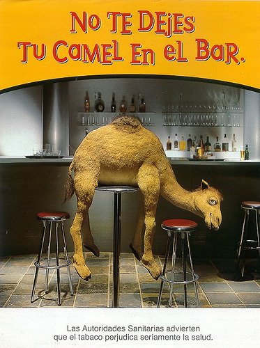So i found a Mexican (i think?) Camel ad campaign that was really cute. I wish there