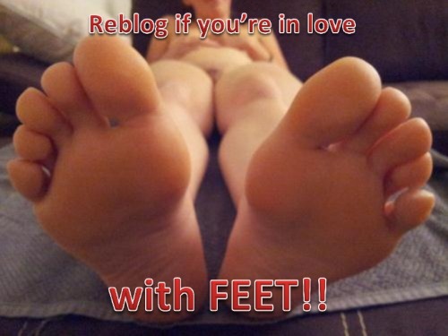 toes-arches-feet: solelover2:  Oh ya  Perfect feet, sexy and delicious looking toes!!!