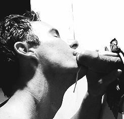 rickraunch:Many fags describe themselves as “sperm pigs.” As much as they enjoy