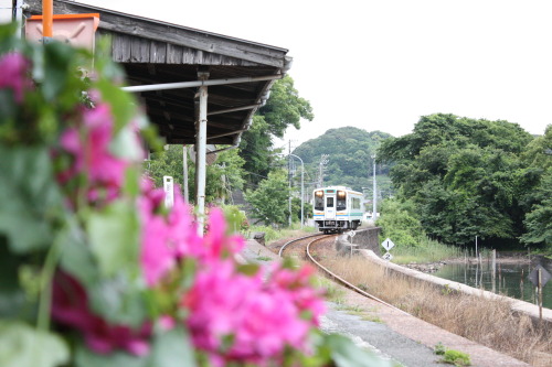 Tenryu-Hamanako line. It runs from Kakegawa to Shinjyohara via northern shore of the Lake Hamana.