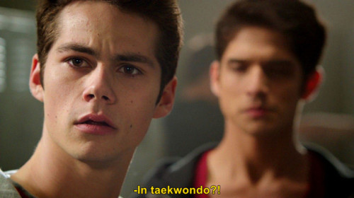 sterek