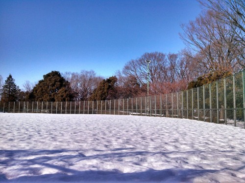 【４６４】勉強の 息抜きがてら 行きけるは 雪深きなる 自然公園