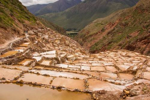 The Lowly Potato?Although estimates vary, the International Potato Center suggests that 4,000 native