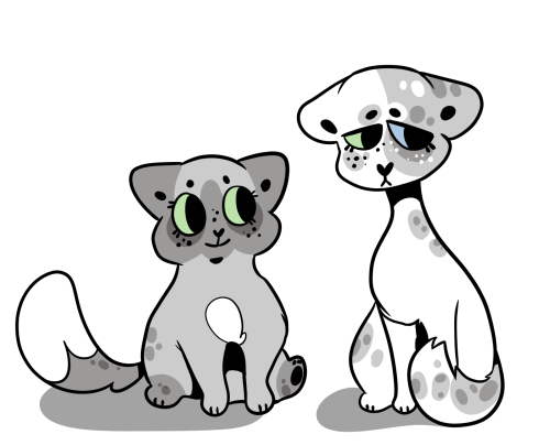 Dovepaw and Ivypaw !!tbh. I do not remember a single aspect of their arc just.  dovepaw small a