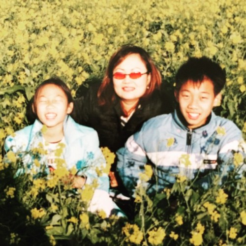 #flashback #flashbackfriday #family #childhood #korea #jejuisland #sunflowers #flowers