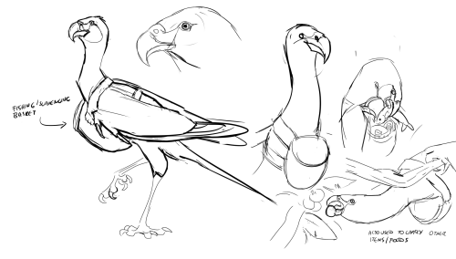 more from my birds. not so sure about the corvid’s coloration tho, that might change, it’s based off