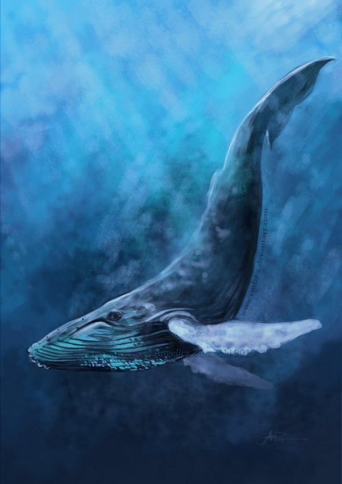 deviantart:  “The existence of 52–Hertz Whale is heart-wrenching, but the fact that we’ve drawn on him to be symbolic of loneliness—or strength in loneliness—says a lot about us and our need to be understood, to battle loneliness, even just
