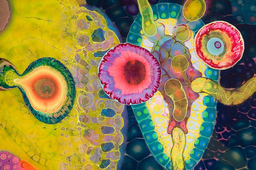 asylum-art-2:   Bruce Riley Creates Psychedelic Art By Pouring Paint And Resin Onto