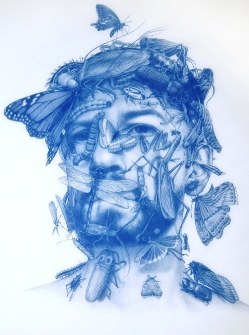 Zachari Logan (Canadian, b. 1980 in Saskatoon, Canada) - Swarm, 2013  Drawings: Blue Pencil on 