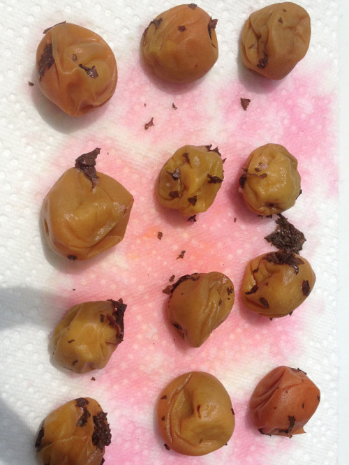 hqcreations:Food Preservation: Making Umeboshi (Pickled Plums) with ShisoI’ve been wanting to master