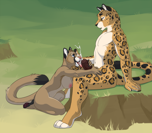 furryrevival:  Some straight kitty cats ~source: image 1  -  image 2  -  image 3  -  image 4