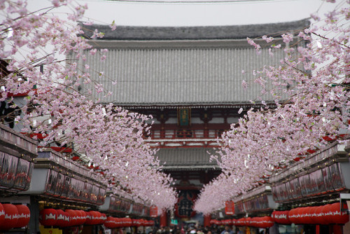 Senso-ji, Asakusa, Tokyo, Japan