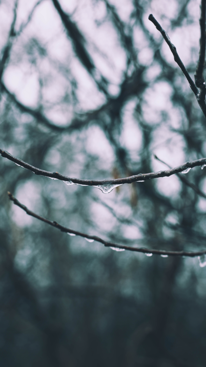 cave: Winter