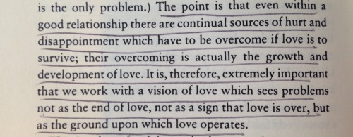 gretchen-anner:conditions of love: the philosophy of intimacy