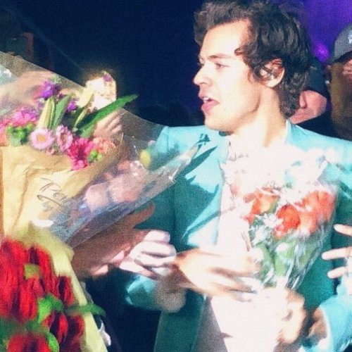 dezzertgurl:Harry Styles with flowers appreciation pictures. You’re welcome.