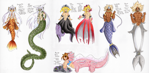 Hikari’s, Yami’s and Anzu’s Merfolk designs-The bottom combined image is a height comparison-Separat