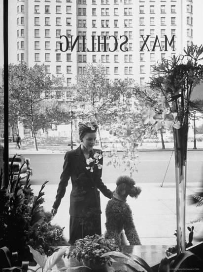 Woman and Her Pet Poodle Gazing at Window Display of Fifth Ave. Shop Photographic Print by Alfred Ei