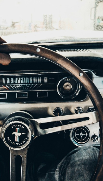 h-o-t-cars:  Ford Mustang | Source