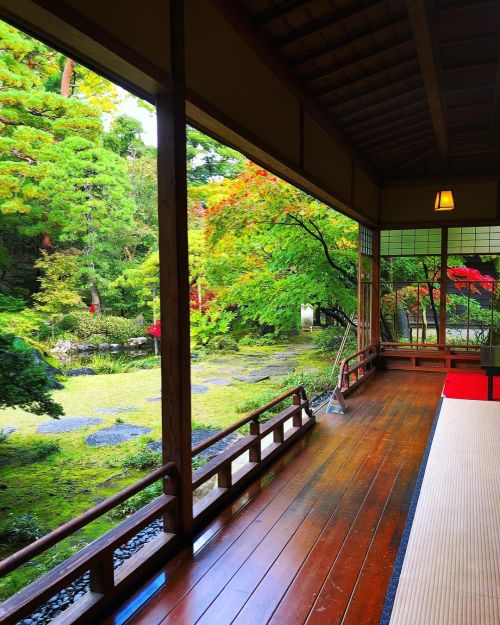 旧齋藤家別邸庭園 [ 新潟県新潟市 ] Kyu-Saito Residence Garden, Niigata の写真・記事を更新しました。 ーー新潟三大財閥・齋藤家が迎賓館とした“庭屋一如”な空間。