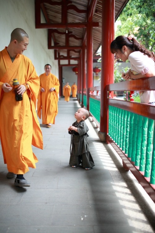 stunningpicture: Excuse me, sir, do you know where I could find some enlightenment?