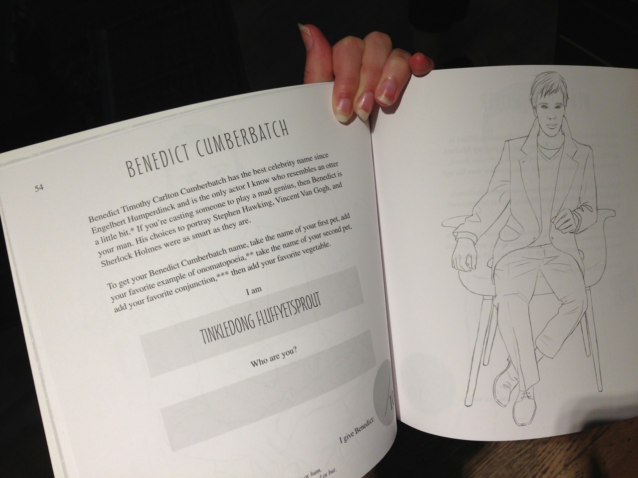uncolorfulskittles:  CAN WE TALK ABOUT THIS COLORING BOOK I FOUND